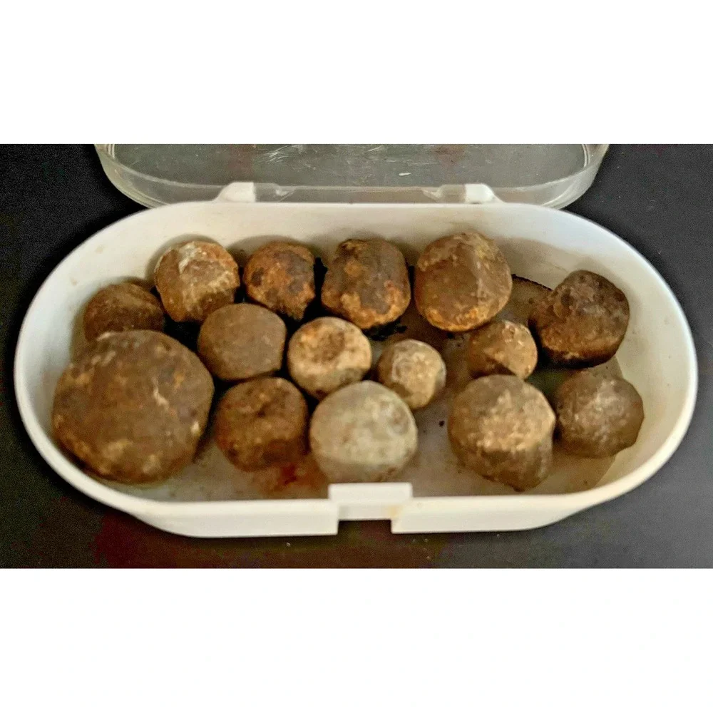 Civil War Era Grape Shot Canister Lot of‎ 15~1.60 lbs-South Carolina Recovery